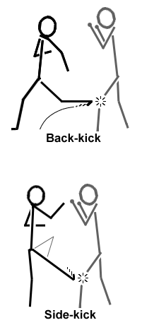 Back Kick
