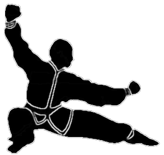 Classical Back Stance