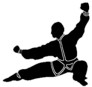 Classical Back Stance