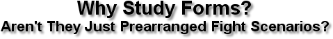 Why Study Forms? Aren't They Just Prearranged Fight Scenarios?